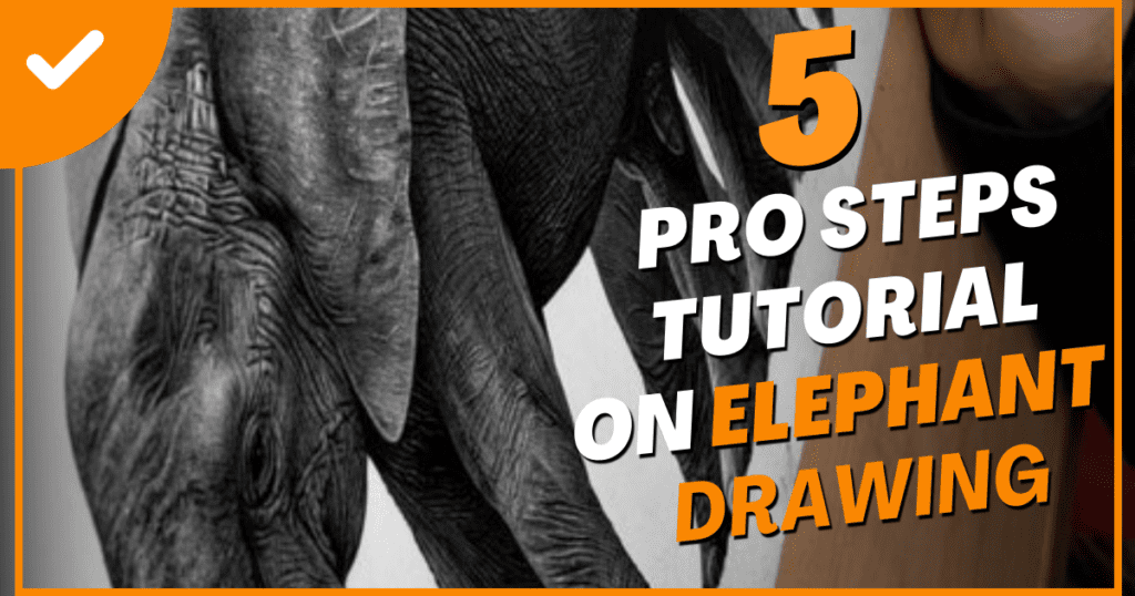 realistic elephant drawing